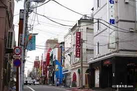 Japan's largest red-light district: Yoshiwara!