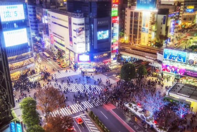 About the Shibuya area!