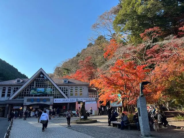 Enjoy the nature of Tokyo in the Tama area!