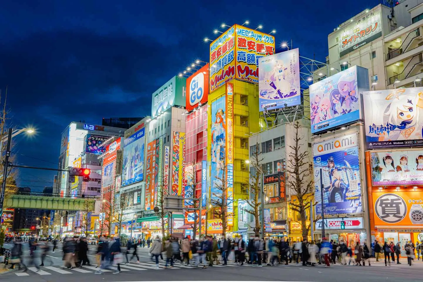 The Otaku Mecca - Akihabara Area!