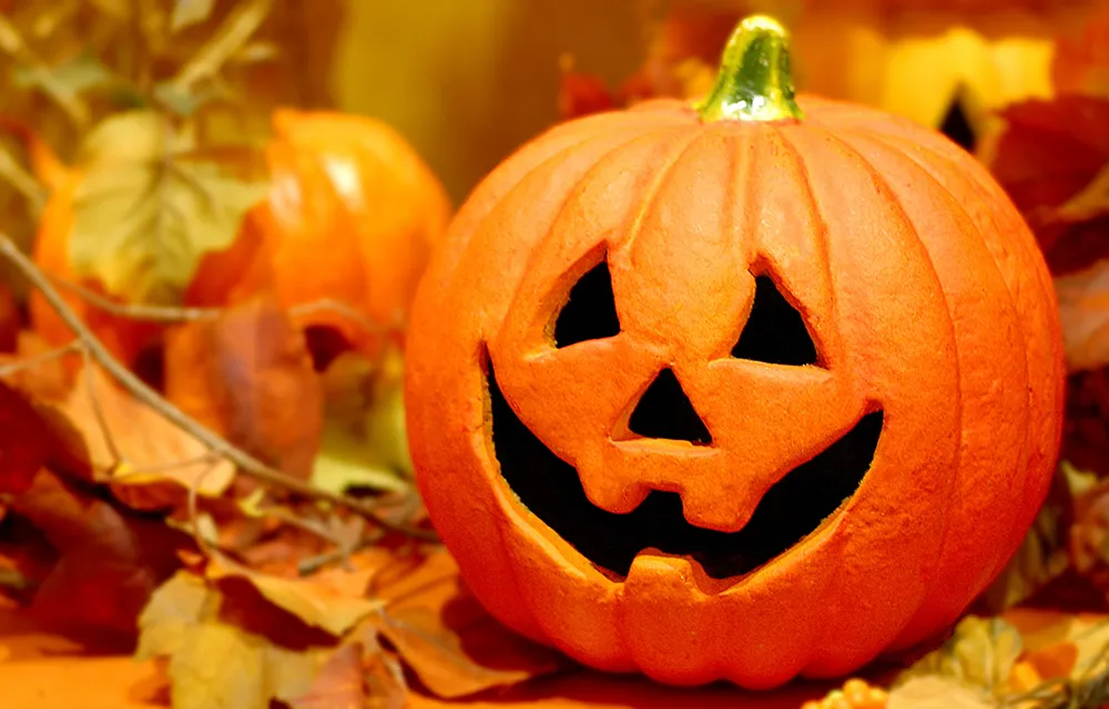 Japanese Halloween culture!